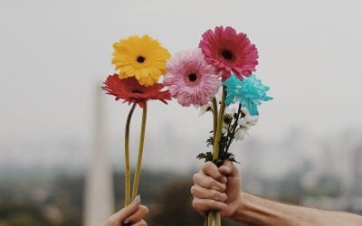 #6 A dor é inevitável, o sofrimento é uma escolha (será?)