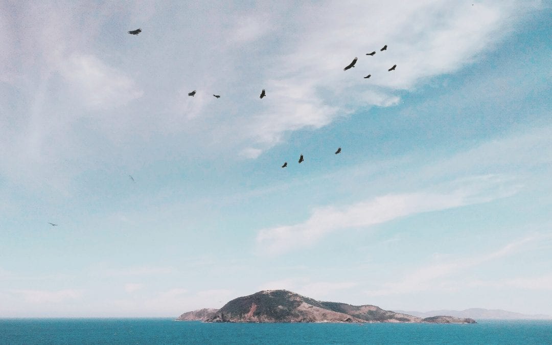 #20 A falta de dinheiro e a infelicidade